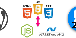 JS Rules! #1 - WordPress.com now with JS/WebApi Architecture like 2sxc